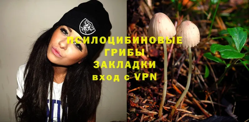 Псилоцибиновые грибы MAGIC MUSHROOMS  купить   MEGA ссылки  Лиски 